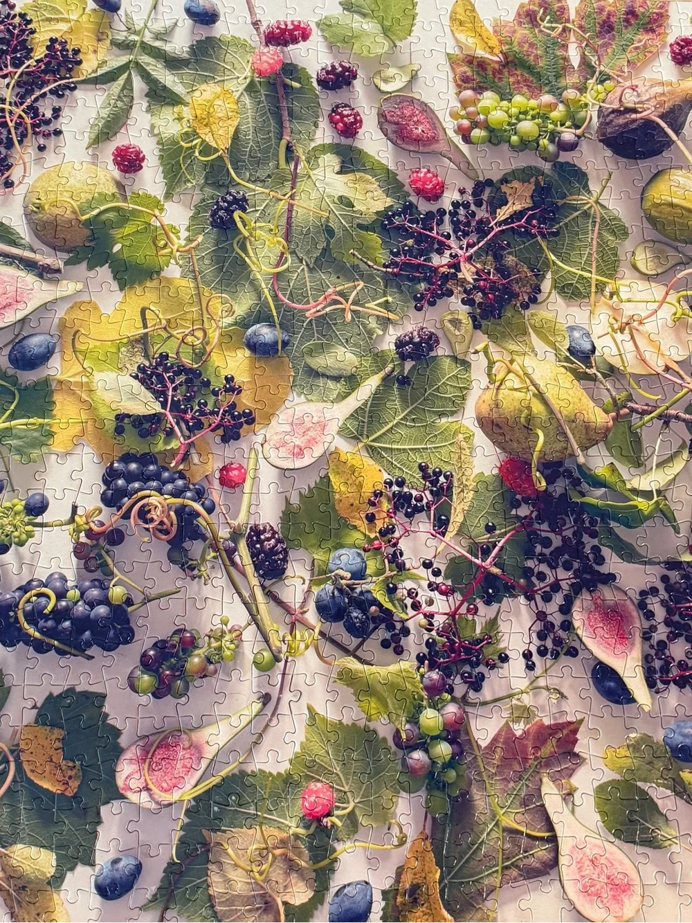 Buffalo Games Contemporary Art Autumn Fruit 1000 piece jigsaw puzzle